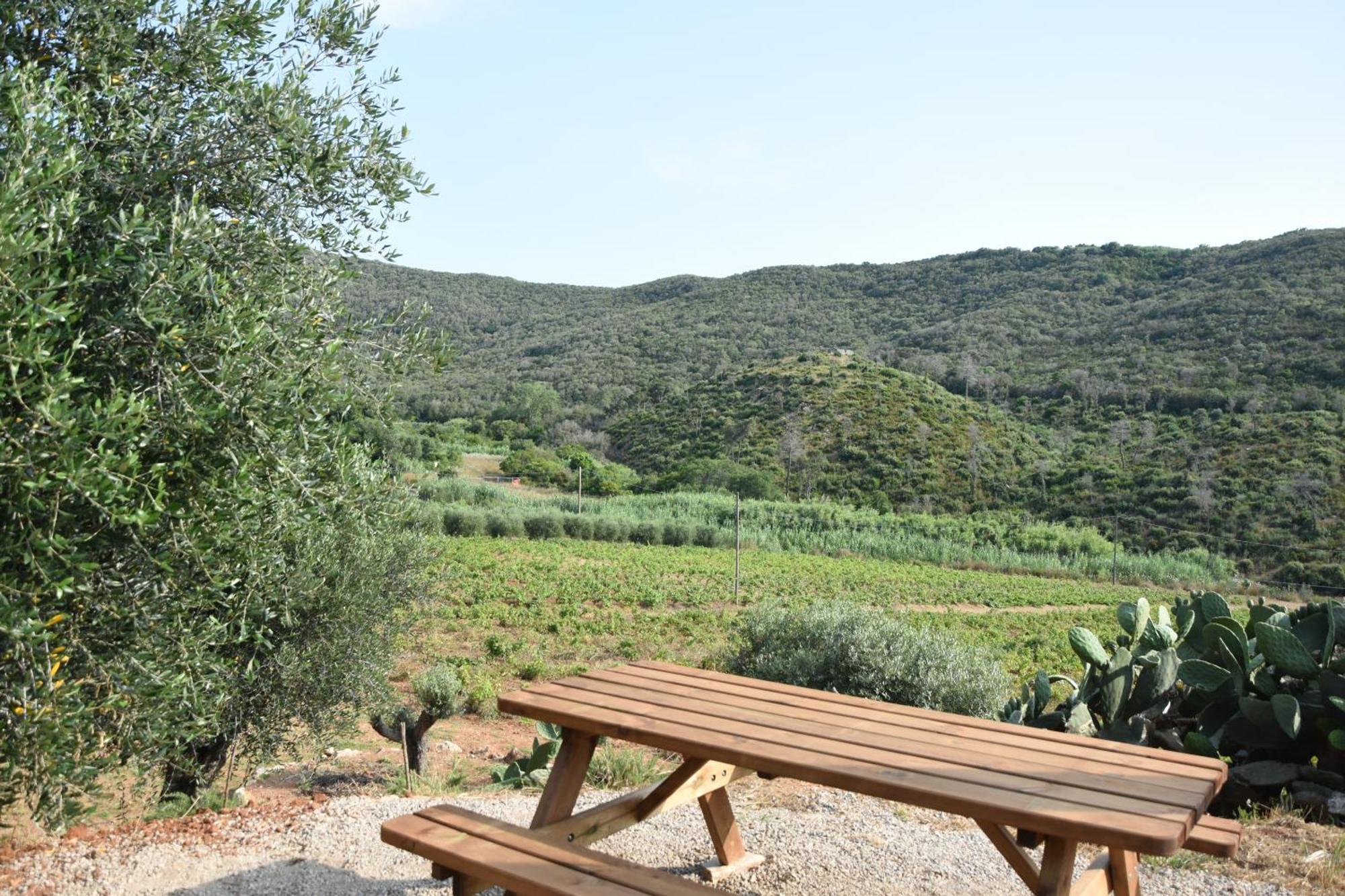 Elba Borgo Di Latrano Magazzini (Tuscany)